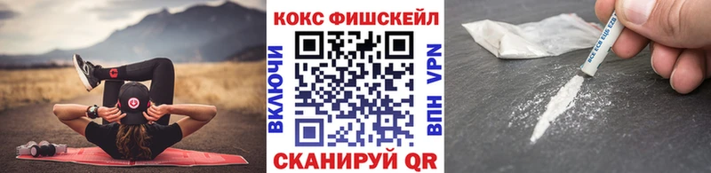КОКАИН FishScale  продажа наркотиков  Абакан 
