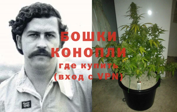 индика Майский