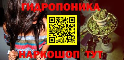 ПСИЛОЦИБИНОВЫЕ ГРИБЫ Абакан