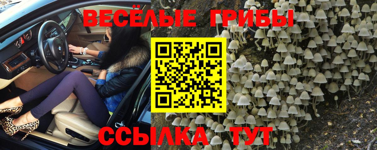 Абакан  Галлюциногенные грибы Psilocybe  Вход с VPN  Галлюциногенные грибы Magic Shrooms 