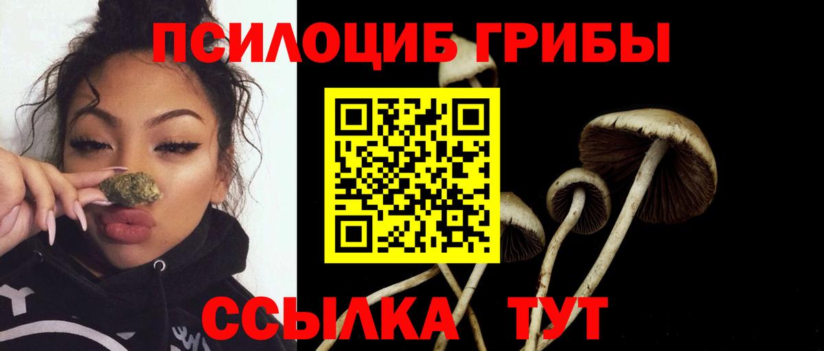 Галлюциногенные грибы GOLDEN TEACHER Абакан